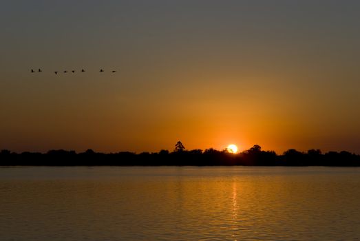Sunset over a calm lake with deep orange hue and silhouette of birds flying by.