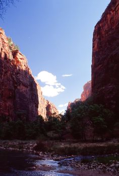 Zion National Park is a United States National Park located in the Southwestern United States, near Springdale, Utah.