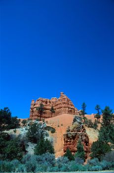 Zion National Park is a United States National Park located in the Southwestern United States, near Springdale, Utah.