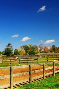 Rural farm landscape in early fall in Ontario, Canada