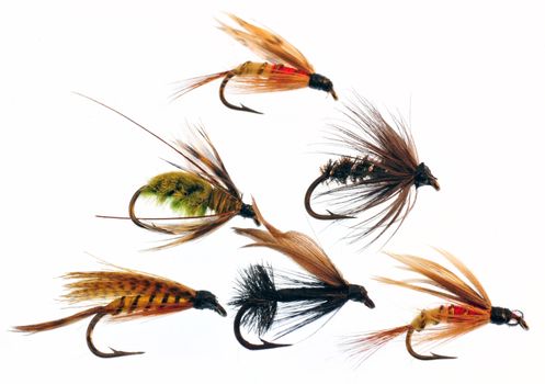 Colorful fishing flies on white background