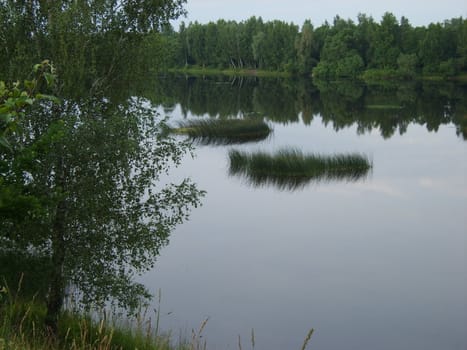 image, lake, liquid, nature, outside, photography plant, river, riverside, source, topic, tree, water, waterways, latvia, wood