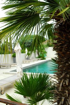 Swimming pool of mediterranean villa in French Riviera