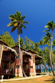 Luxury tropical resort on ocean shore with palm trees