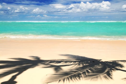 Pristine tropical beach with palm trees shadows on Caribbean island. Colors are natural.