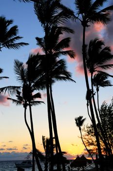 Palm trees silhouettes at sunrise at tropical resort