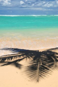 Pristine tropical beach with palm trees shadows on Caribbean island. Colors are natural.