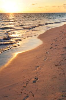 Footprints on sandy tropical beach at sunrise