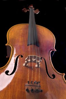 beautiful cello over a black background