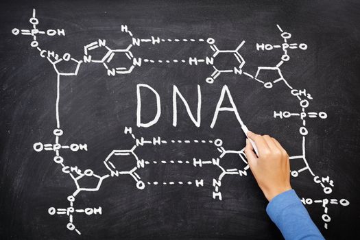 DNA blackboard drawing. Hand drawing chemical structure of DNA on black chalkboard with chalk. Chemisty and biology science education concept.