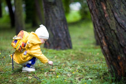 child fuond a mushroom