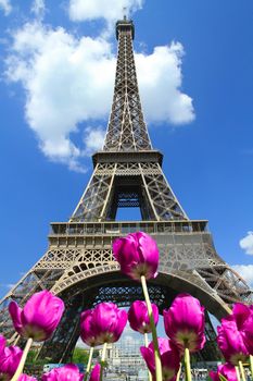 tour eiffel in Paris