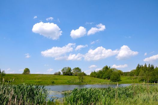 summer landscape