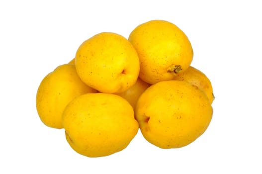 pile chaenomeles isolated on a white background