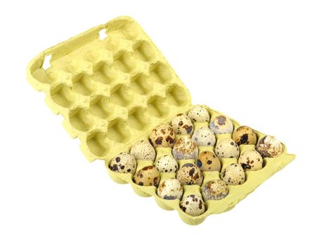 quail eggs in a cardboard box isolated on a white background