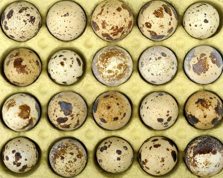 quail eggs in a yellow cardboard box