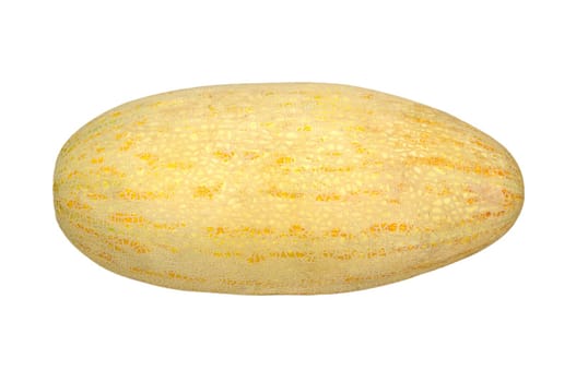 melon on a whiteoval yellow melon isolated on white background