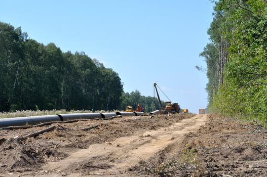 Construction of a gas pipeline in woodland