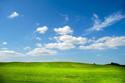 Landscape with green field and blue and cloudy sky.