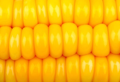 background of yellow corn grains, close-up