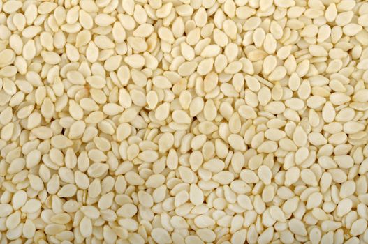 background from the raw white sesame seeds, close-up