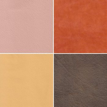 square samples of genuine leather, high resolution