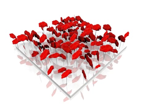 bed of poppies on white background