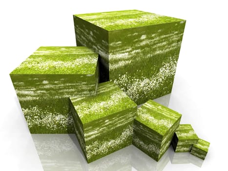 cube of daisies and grass