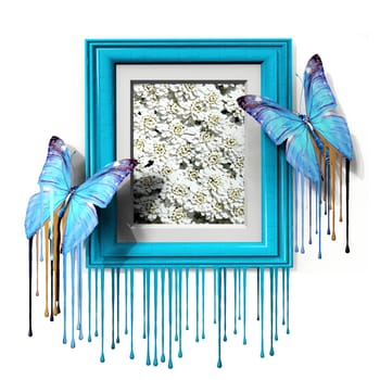 the beautiful butterfly and the frame