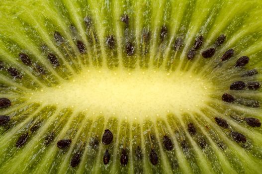 background of the slice kiwi