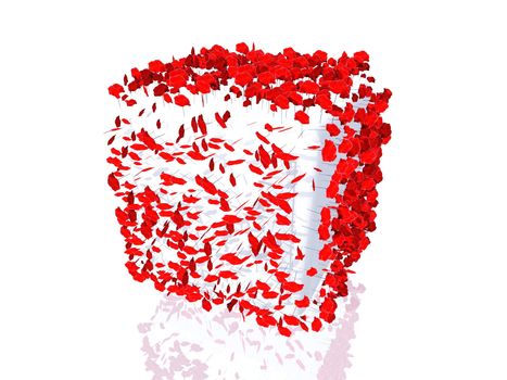 cube of poppies on white background