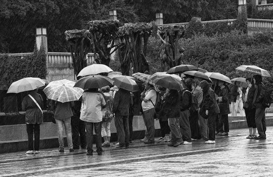 Another rainy day in Norway







Another rayny day in Norway