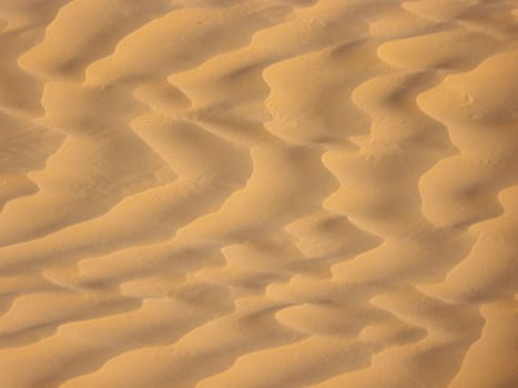 sand and dune in the desert