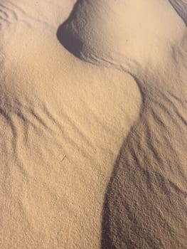 sand and dune in the desert