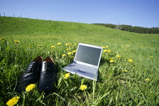 laptop in grass as a symbol for fieldwork,leisure or holiday