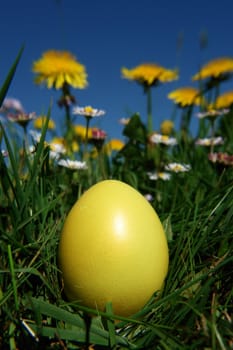 colorful Easter egg in the fresh  spring meadow