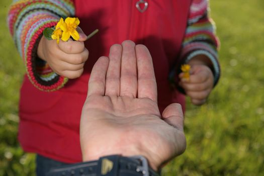 A child give its a parent a spring flower............