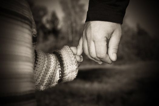 A parent holding the hand of its child while walking in a park............