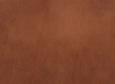 Leather background