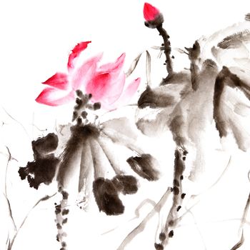 Lotus, Chinese traditional ink painting artwork with color.