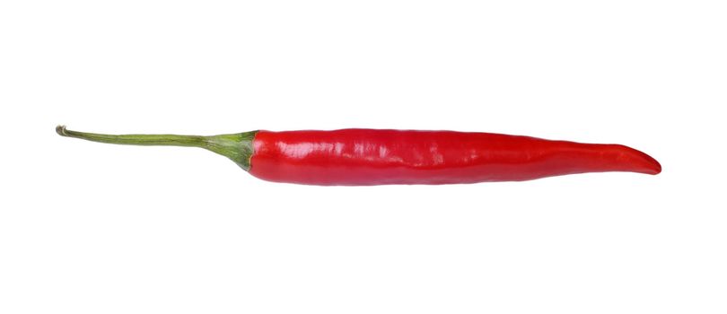 hot pepper