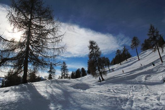 Winter snowy landscape in the Alps with fir trees and their shadows by beautiful weather, Switzerland