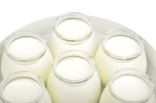 yogurt-maker , isolated on a white background