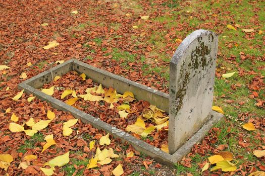 Old tombstone in a graveyard covered with red autumn leaves