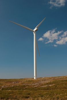 Beautiful meadow with Wind turbines generating electricity.