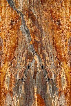 Background texture of earthy colored shale stone