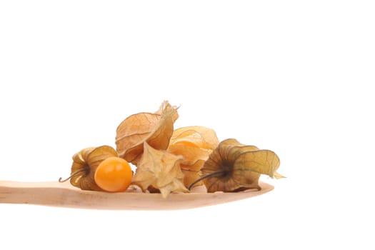 Physalis simply offered on a wooden spoon isolated on a white background 