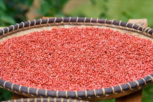 Florida holly, pink pepper from Madagascar in baskets crafts