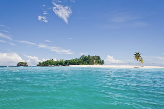 Desert island with palm trees on the sandbank