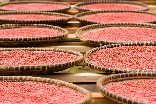 Florida holly, pink pepper from Madagascar in baskets crafts